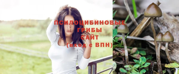 mix Дмитриев