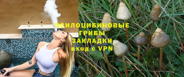 синтетический гашиш Дмитровск