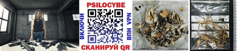 Галлюциногенные грибы GOLDEN TEACHER  Купить закладки  Апрелевка 